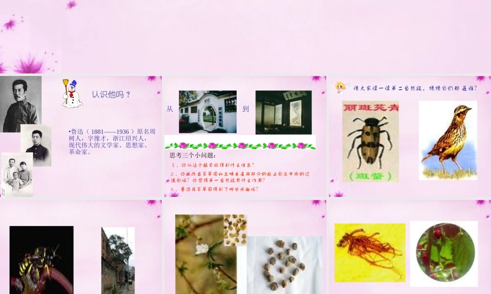 七年级语文下册 第1课 (从百草园到三味书屋)课件 新人教版 课件