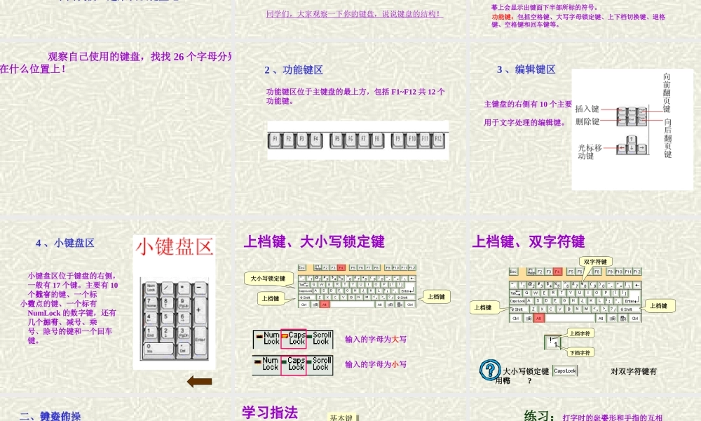 信息技术认识键盘与正确的指法输入课件