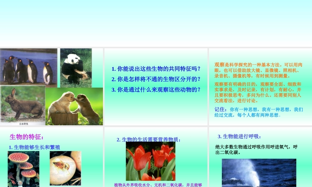 七年级生物生物的特征课件 鲁教版 课件