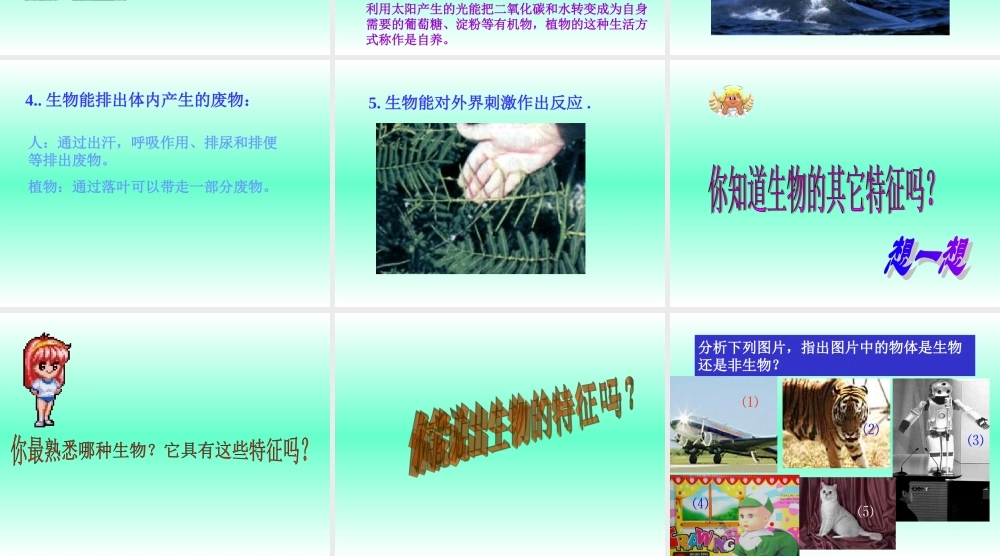 七年级生物生物的特征课件 鲁教版 课件