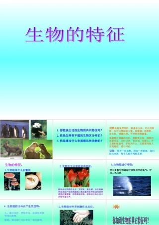 七年级生物生物的特征课件 鲁教版 课件