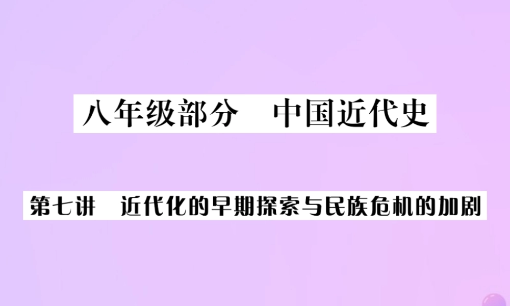 中考历史总复习 第七讲 近代化的早期探索与民族危机的加剧课件 新人教版 课件
