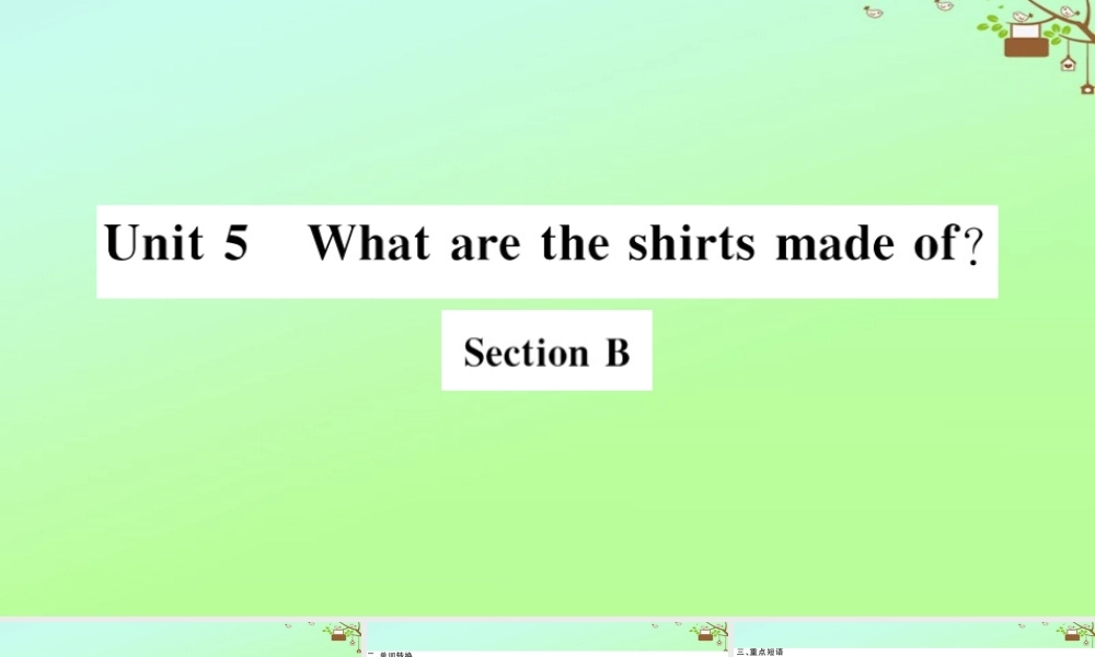 九年级英语全册 Unit 5 What are the shirts made of Section B作业课件 (新版)人教新目标版 课件
