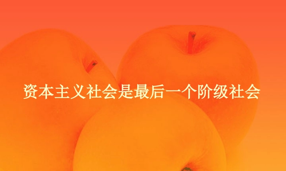 九年级政治复习课件 资本主义社会是最后一个阶级社会 人教版 课件
