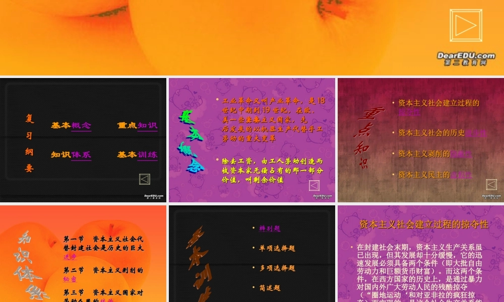 九年级政治复习课件 资本主义社会是最后一个阶级社会 人教版 课件