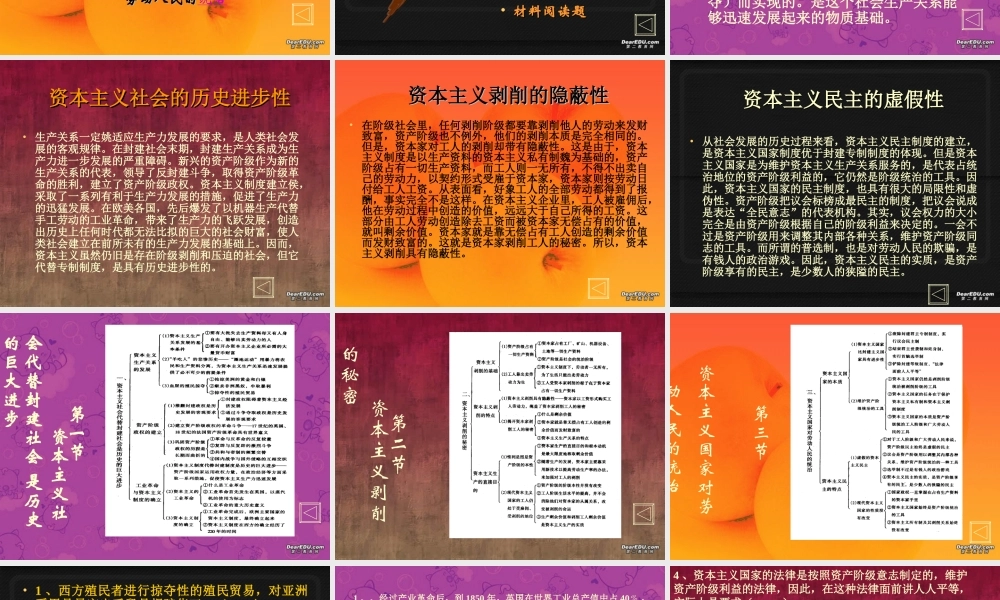 九年级政治复习课件 资本主义社会是最后一个阶级社会 人教版 课件