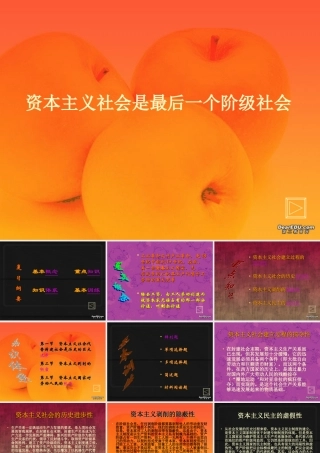九年级政治复习课件 资本主义社会是最后一个阶级社会 人教版 课件