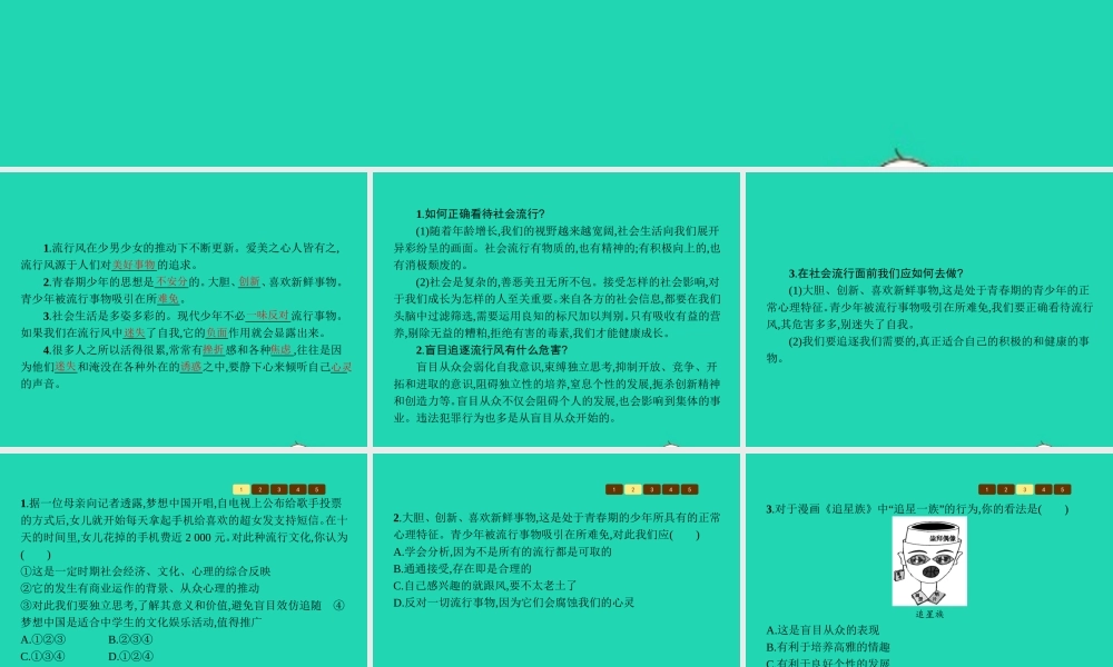 八年级政治上册 第二单元 青春自画像 第4课 青春故事 第2框 别被流行风吹跑课件 人民版 课件