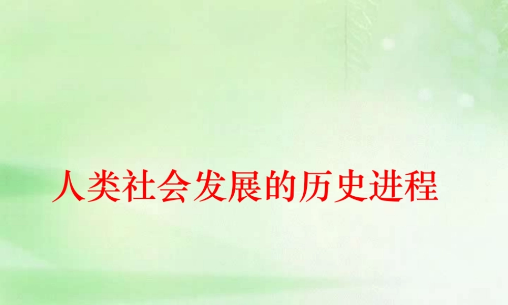 广东省广州地区初三政治下学期人类社会发展的历史进程 人教版 课件