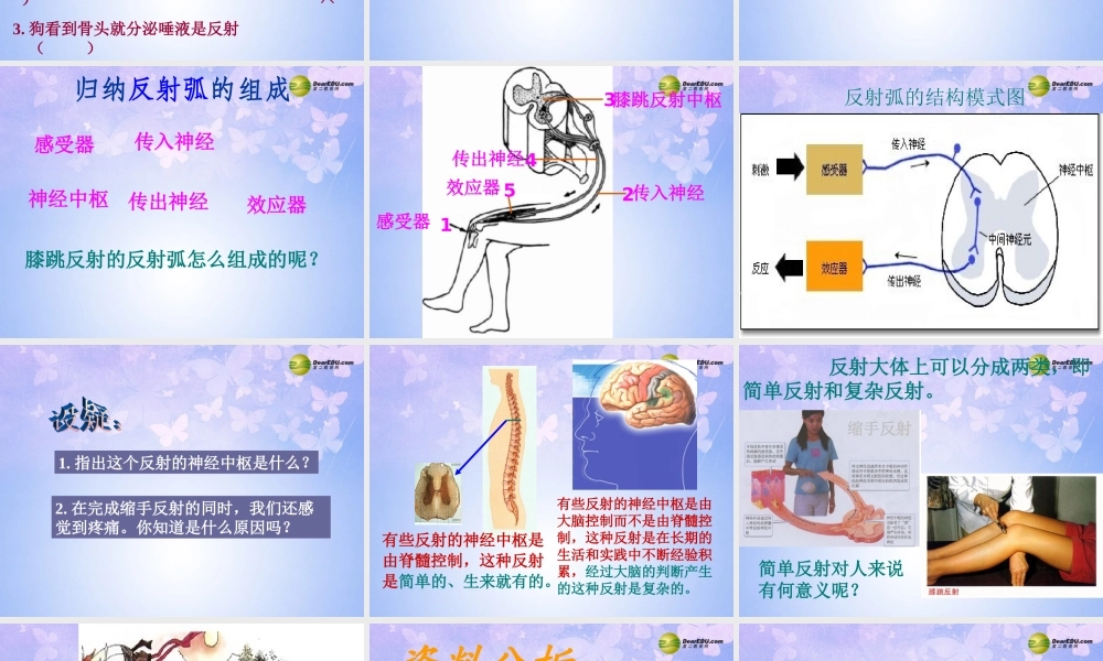 中学七年级生物下册 神经调节的基本方式课件 鲁科版 课件