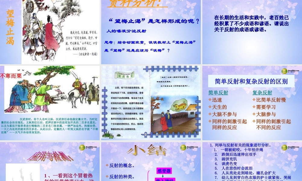 中学七年级生物下册 神经调节的基本方式课件 鲁科版 课件