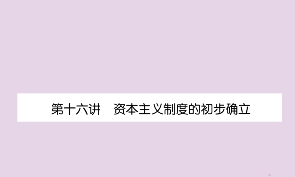 中考历史总复习 第一编 教材知识速查篇 模块三 世界近代史 第16讲 资本主义制度的初步确立(精练)课件