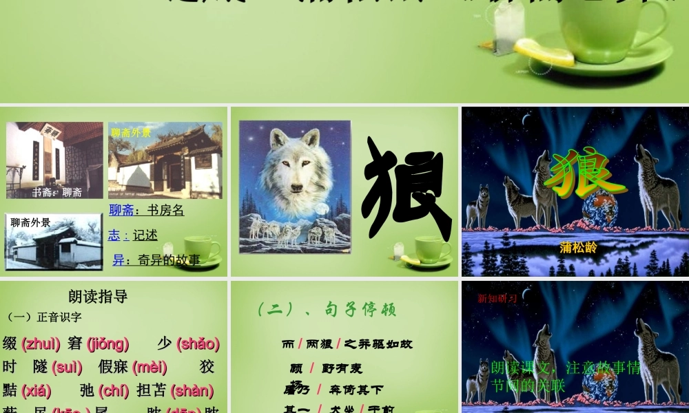 中学七年级语文下册 6.30(狼)课件1 (新版)新人教版 课件