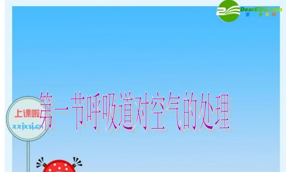 七年级生物下册 呼吸道对空气的处理复习课件 人教新课标版 课件