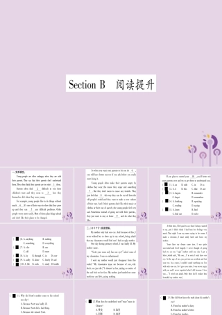 九年级英语全册 Unit 4 I used to be afraid of the dark Section B作业课件 (新版)人教新目标版 课件