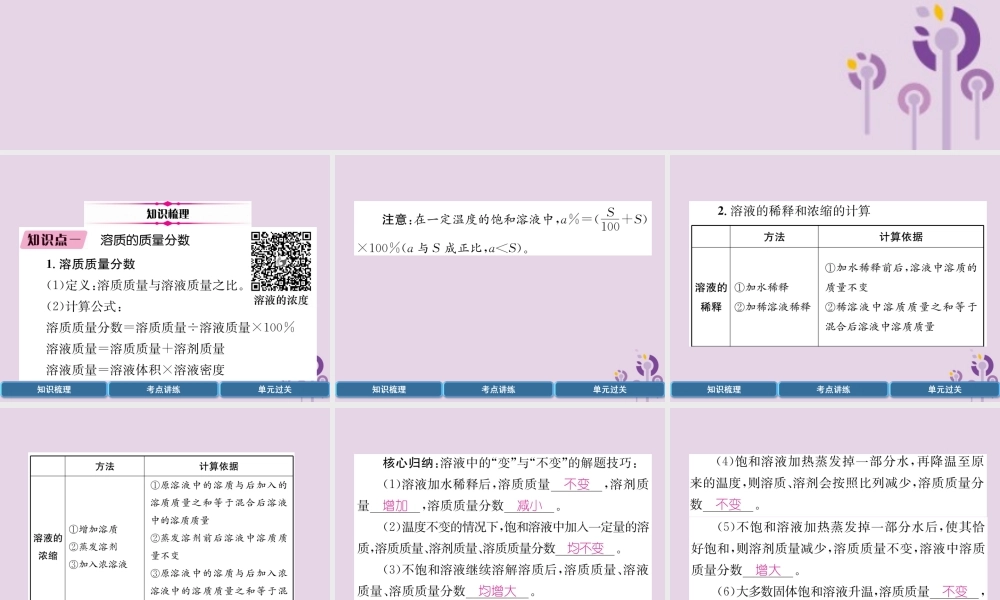 中考化学总复习 第1编 教材知识梳理 第9单元 溶液 第2讲 溶液的浓度及溶液配制(精讲)课件