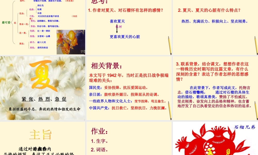 八年级语文下册 第3课(石榴)课件 苏教版 课件