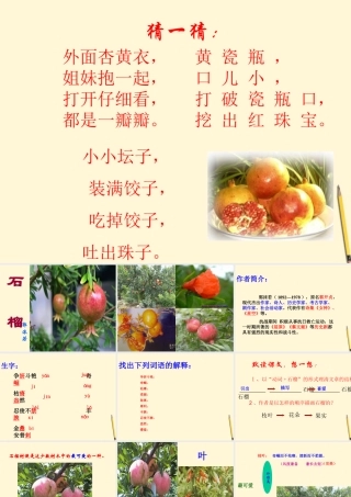 八年级语文下册 第3课(石榴)课件 苏教版 课件
