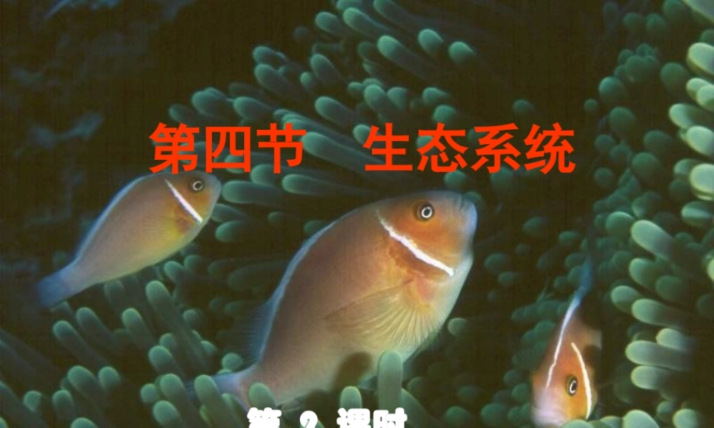 九年级科学下册 生态系统第二课时课件 浙教版 课件