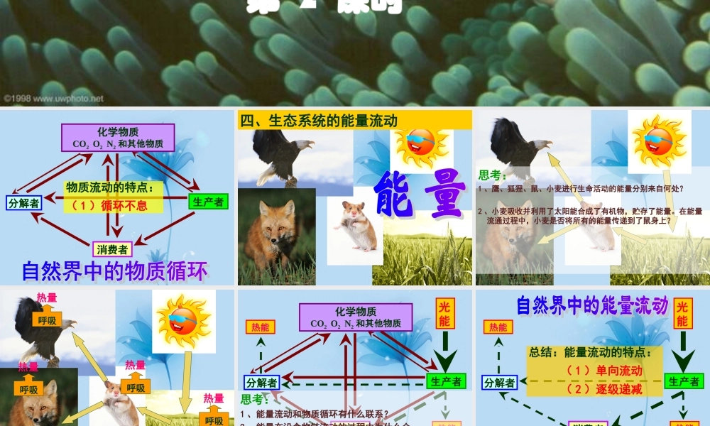 九年级科学下册 生态系统第二课时课件 浙教版 课件