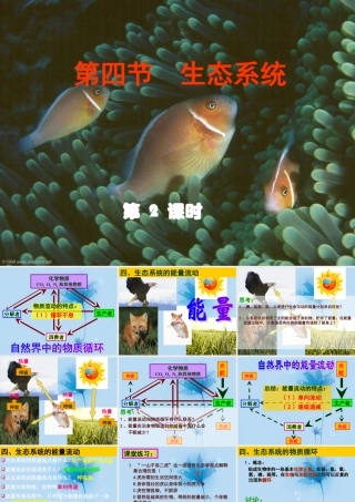 九年级科学下册 生态系统第二课时课件 浙教版 课件