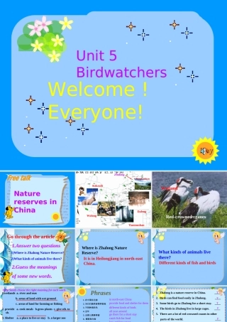 八年级英语上册 Unit 5 Birdwatchers课件 牛津深圳版 课件