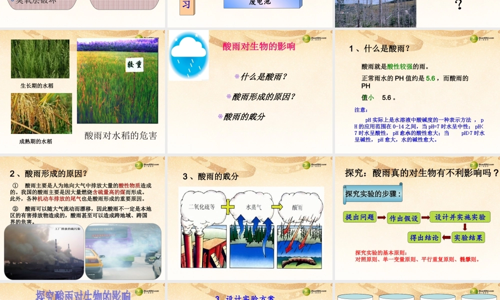 八年级生物下册 第七章 探究环境污染对生物的影响配套课件 鲁科版 课件