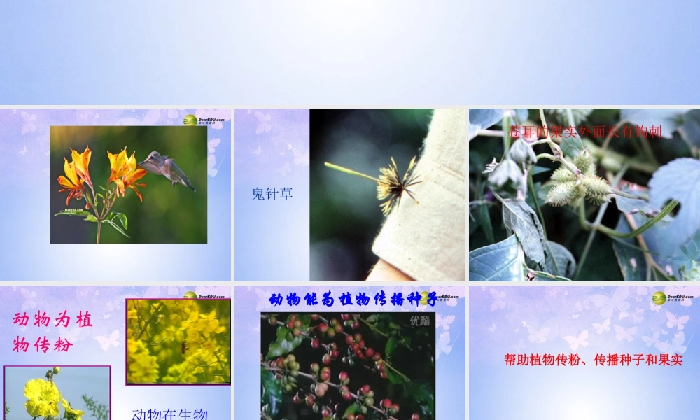 八年级生物上册 第五单元 动物在自然界中的作用课件 (新版)新人教版 课件