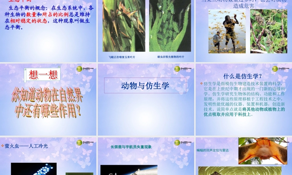 八年级生物上册 第五单元 动物在自然界中的作用课件 (新版)新人教版 课件