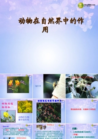 八年级生物上册 第五单元 动物在自然界中的作用课件 (新版)新人教版 课件