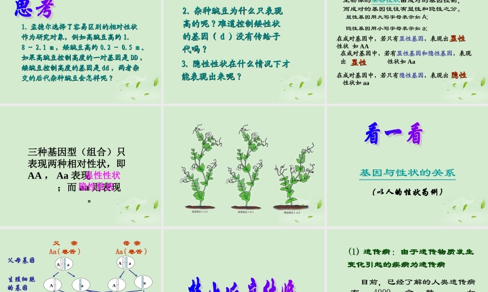 八年级生物 基因的显性和隐性课件 人教新课标版 课件