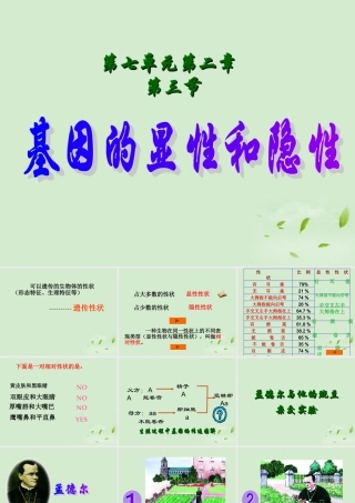 八年级生物 基因的显性和隐性课件 人教新课标版 课件