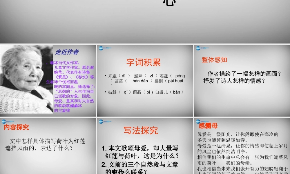 中学七年级语文上册 4(散文诗两首)荷叶母亲课件 (新版)新人教版 课件