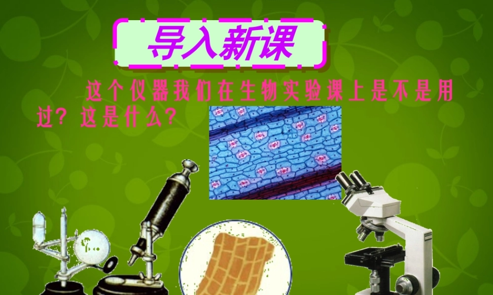 八年级物理上册(5.5 显微镜和望远镜)课件 (新版)新人教版 课件