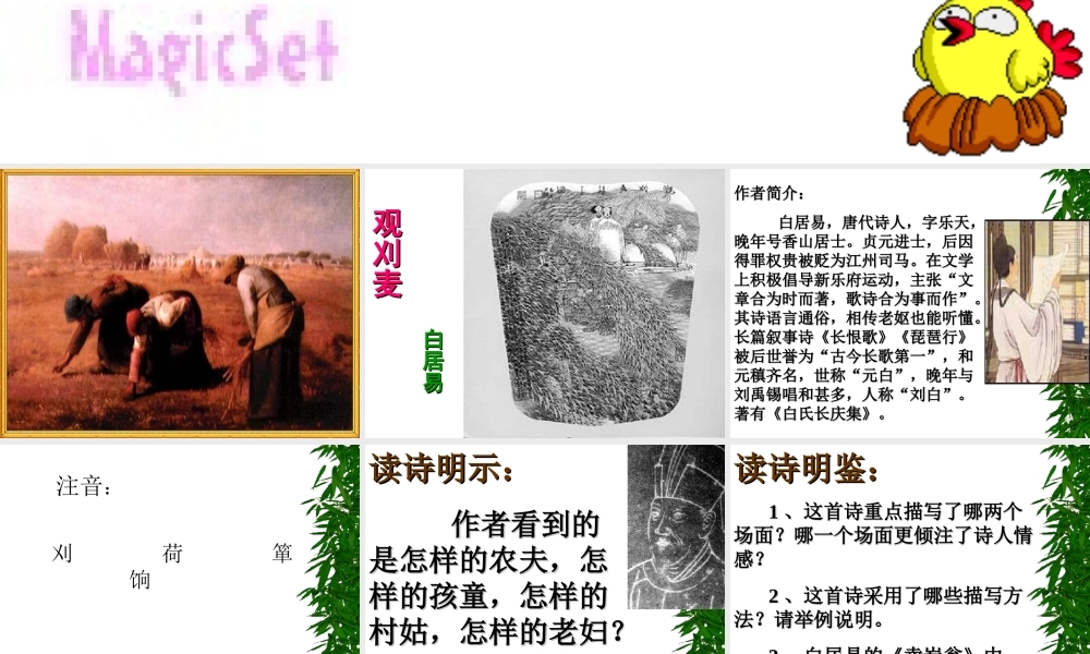 八年级语文观刈麦课件2语文版 课件