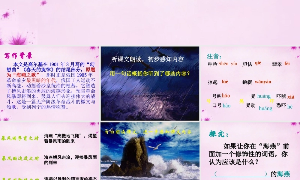 八年级语文下册 2.9(海燕)课件 (新版)新人教版 课件