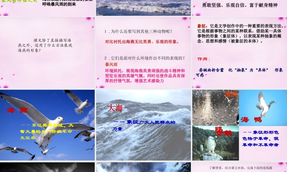 八年级语文下册 2.9(海燕)课件 (新版)新人教版 课件