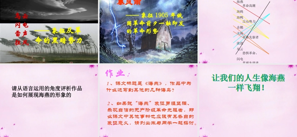 八年级语文下册 2.9(海燕)课件 (新版)新人教版 课件