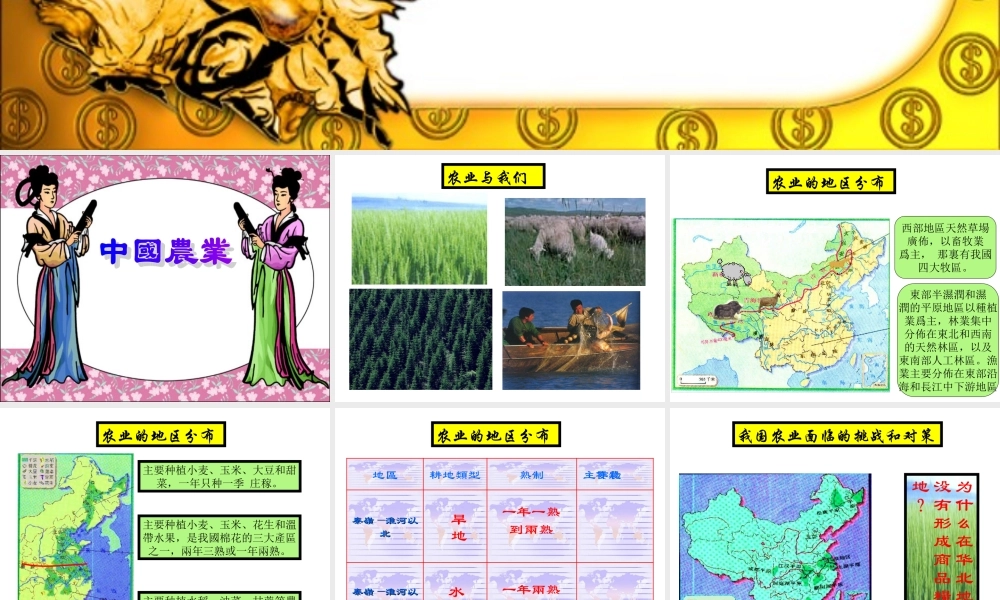 八年级地理 中国农业课件