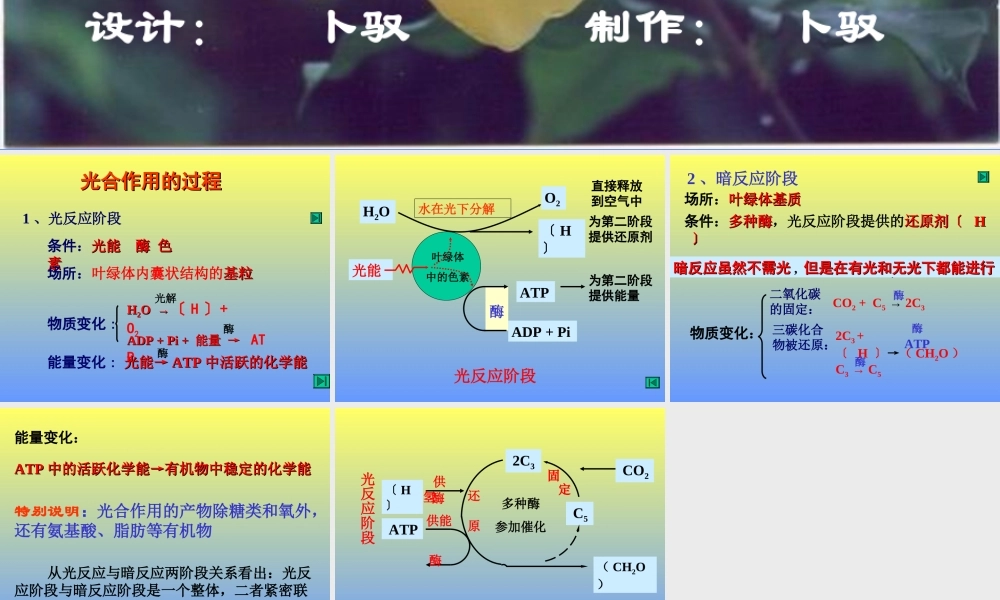 七年级生物光合作用过程课件 新课标 人教版 课件