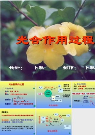 七年级生物光合作用过程课件 新课标 人教版 课件