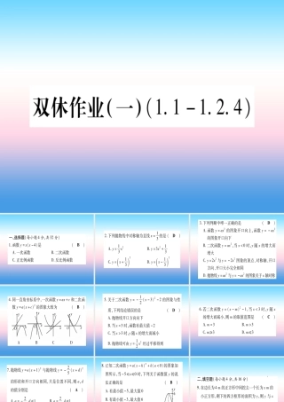 九年级数学下册 双休作业(一)作业课件 (新版)湘教版 课件