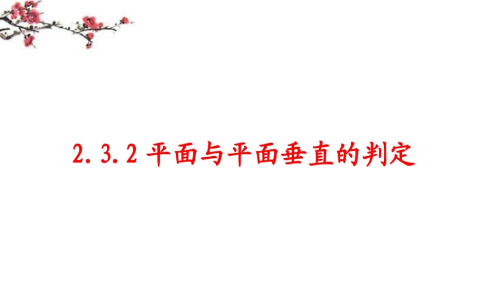广东惠州市高一数学(平面与平面垂直的判定)课件