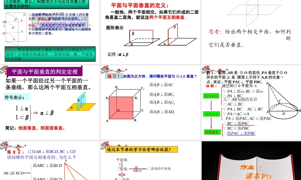 广东惠州市高一数学(平面与平面垂直的判定)课件