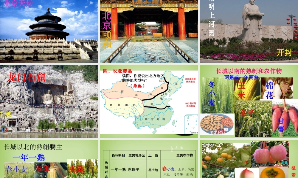 八年级地理下册(5.2 北方地区和南方地区)课件2 (新版)湘教版 课件