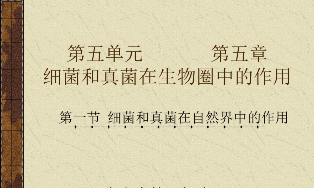 七年级生物细菌和真菌在自然界中的作用课件新人教版 课件