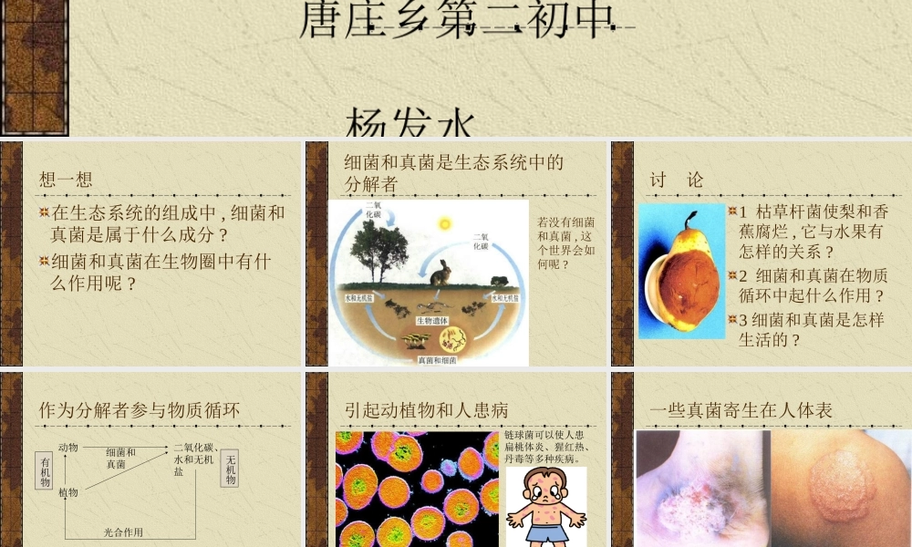 七年级生物细菌和真菌在自然界中的作用课件新人教版 课件