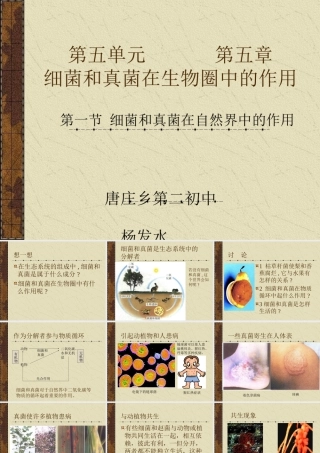 七年级生物细菌和真菌在自然界中的作用课件新人教版 课件