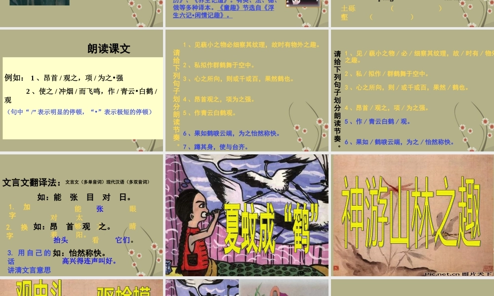 中学七年级语文 童趣课件 新人教版 课件