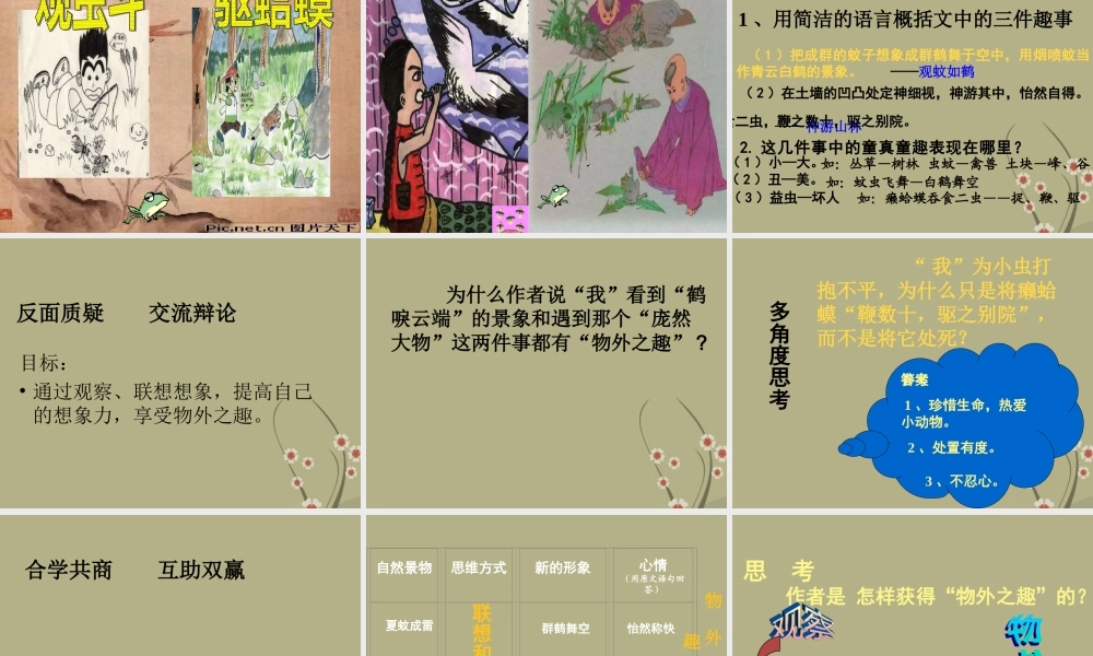 中学七年级语文 童趣课件 新人教版 课件